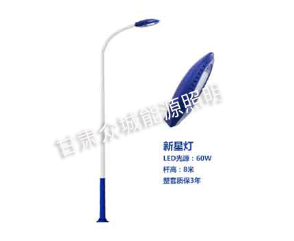 托克逊爆款市电路灯